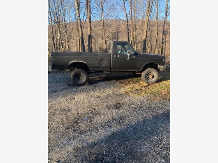 Thumbnail Photo undefined for 1989 Ford F250